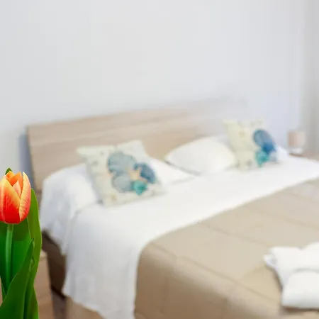 Apartament Rosa's House - Spacious In The Center With Balcony *